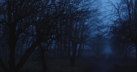 Winter 스톡 동영상 253552169