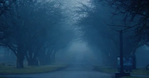 Winter 스톡 동영상 253552431