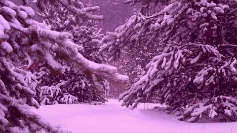 Winter Stock Footage 279384341