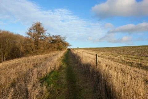 Winter footpath Stock Photos