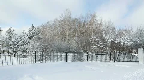 Winter forest 01 Stock Footage 21239793