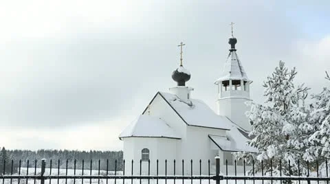 Winter forest 02 Stock Footage 21239778