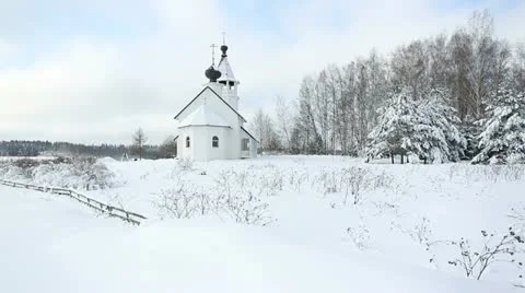 Winter forest 03 Stock Footage 21239950