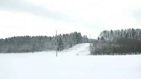Winter forest 04 Stock Footage 21239953