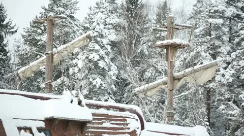 Winter forest 09 Stock Footage 21240329