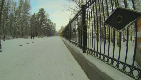 Winter Forest. 2.7K. Stock Footage 34610240