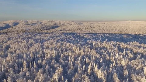 Winter forest from above. 스톡 동영상 71668785