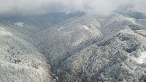 Winter forest from above. Winter mountains landscape. Trees covered with snow Stock Footage 147621363