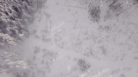 Winter Forest Aerial Stock Footage 96433056