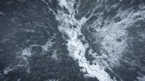 Winter forest. Aerial Stock Footage 102366726