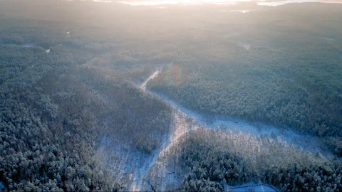 Winter Forest Aerial Panorama Stock Footage 86068310