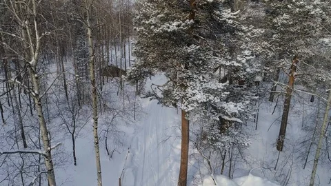 Winter Forest Aerial Video 스톡 동영상 86610286