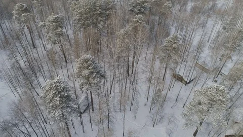 Winter Forest Aerial Video Stock Footage 87275965