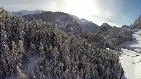 Winter forest - Aerial view Stock Footage 67637507