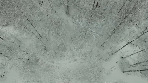 Winter forest aerial view Stock Footage 83018239