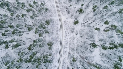 Winter forest. Aerial view Stock Footage 84856299