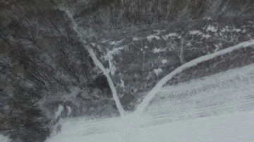 Winter forest, aerial view Stock Footage 85620679