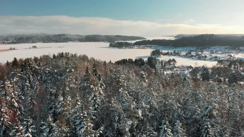 Winter forest aerial view of forest, lake and hills covered with snow. Stock-Footage 149362411