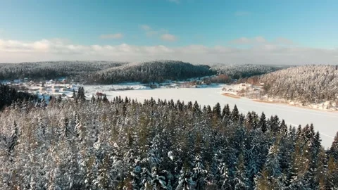 Winter forest aerial view of pine and fir trees and hills covered with snow Stock Footage