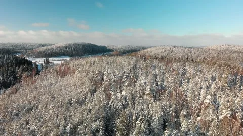 Winter forest aerial view of trees and hills covered with snow. Stockbeeldmateriaal 149359970