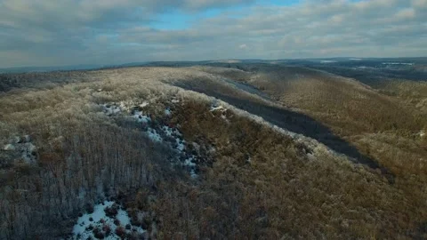 Winter forest. Aerial view of winter forest Video stock 148039510