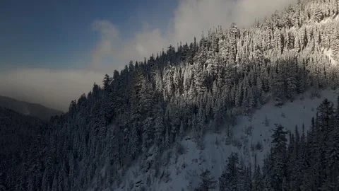 Winter forest against background blue sky and clouds. beauty winter in mountains Video stock 306230270