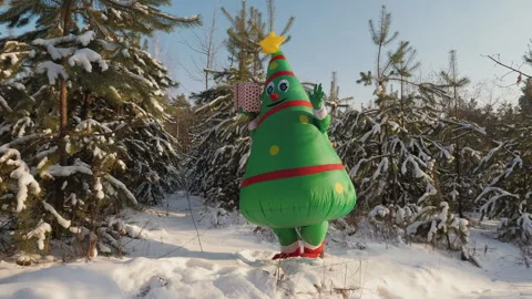 In the winter forest among the snow-covered fir trees stands a person in a Stock Footage 278096151