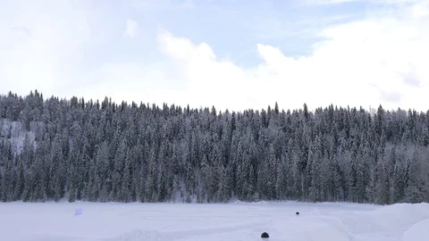 Winter forest and blue sky Stock Footage 104586757