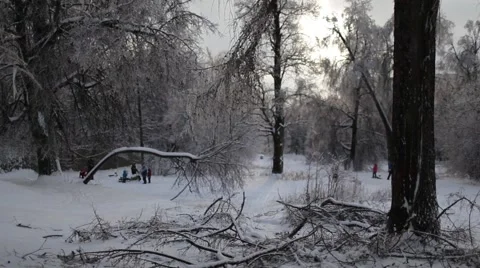 Winter in forest and children 動画素材 44054350