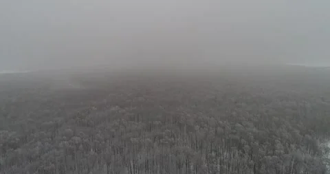 Winter Forest and cloud Stock Footage 147192156