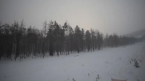 Winter Forest and Field Stock Footage 59315234