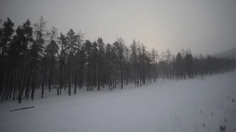 Winter Forest and Field Stock Footage 59315285