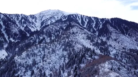 Winter forest and high mountains covered with snow Video stock 145260518