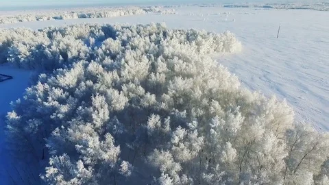 Winter forest and house Stock Footage 71763676