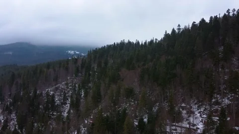 Winter forest and mountains from air. Winter landscape. aerial drone shot. Видео 169080716