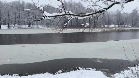 Winter Forest and River 13 Stock Footage 288253719