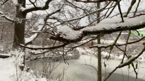 Winter Forest and River 16 Stock Footage 288379185