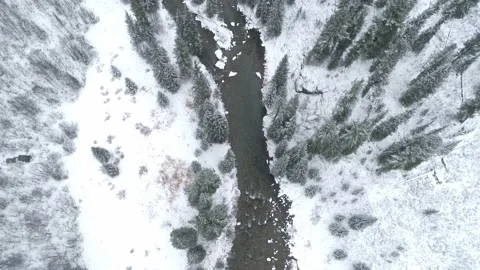 Winter forest and river from air. Aerial video of winter nature Stock Footage 141670801