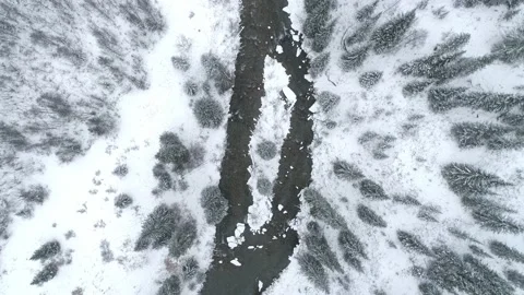 Winter forest and river from air. Aerial video of winter nature Stock Footage 141670948