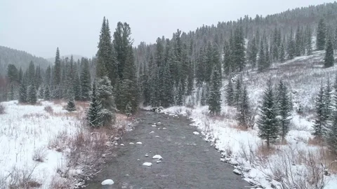 Winter forest and river from air. Aerial video of winter nature Stock Footage 141671007