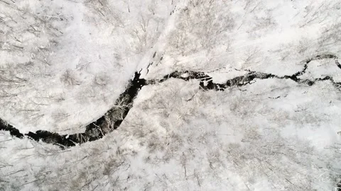 Winter Forest and River, Birds Eye View. Stock Footage 131243334