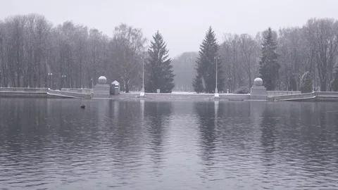 Winter forest and river in the snow 4K Stock Footage 83830009