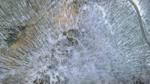 Winter Forest and Road through winter snow mountain area with trees. Video stock 150280072