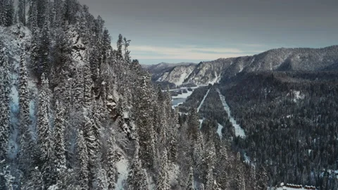 Winter forest and snow capped mountains Video stock 152375254