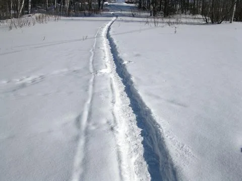 Winter forest and snow path Stock Photos