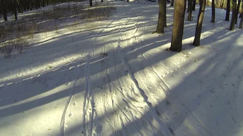 Winter forest and snow road Video stock 34829558
