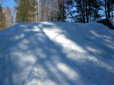 Winter forest and snowdrift Stock Photos