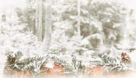 Winter forest background 写真素材