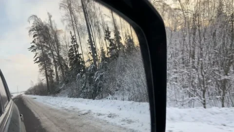 Winter forest on the background of sunset. Stock Footage 224240811