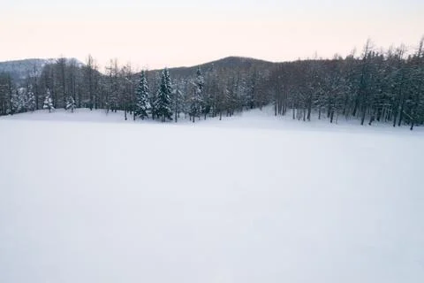 Winter forest with Beech trees covered with white snow. Winter landscape Foto stock